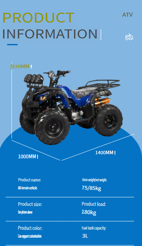Electric Mini ATV / Four-Wheel Off-Road Vehicle for Adults (Beach/Mountain Use)