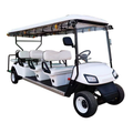 6-Seater Sightseeing Shuttle for Scenic Areas, Parks, and Hotels – Available in Fuel or Electric Golf Cart Models