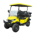 2-Seater and 4-Seater Electric Golf Carts and Sightseeing Vehicles for Scenic Areas