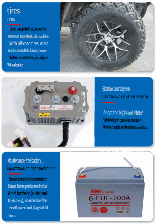 2-Seater and 4-Seater Electric Golf Carts and Sightseeing Vehicles for Scenic Areas