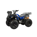 Electric Mini ATV / Four-Wheel Off-Road Vehicle for Adults (Beach/Mountain Use)