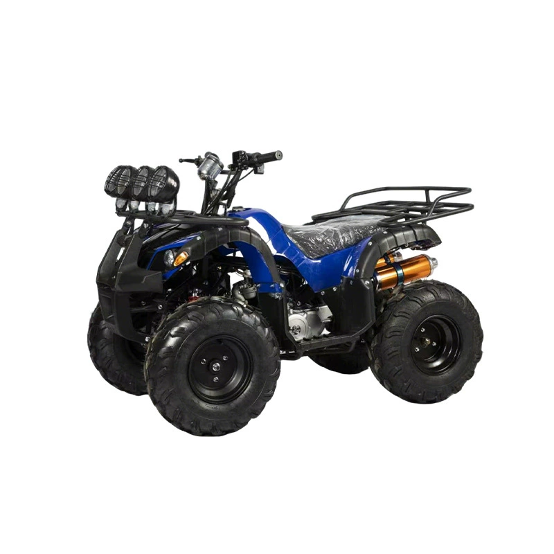 Electric Mini ATV / Four-Wheel Off-Road Vehicle for Adults (Beach/Mountain Use)