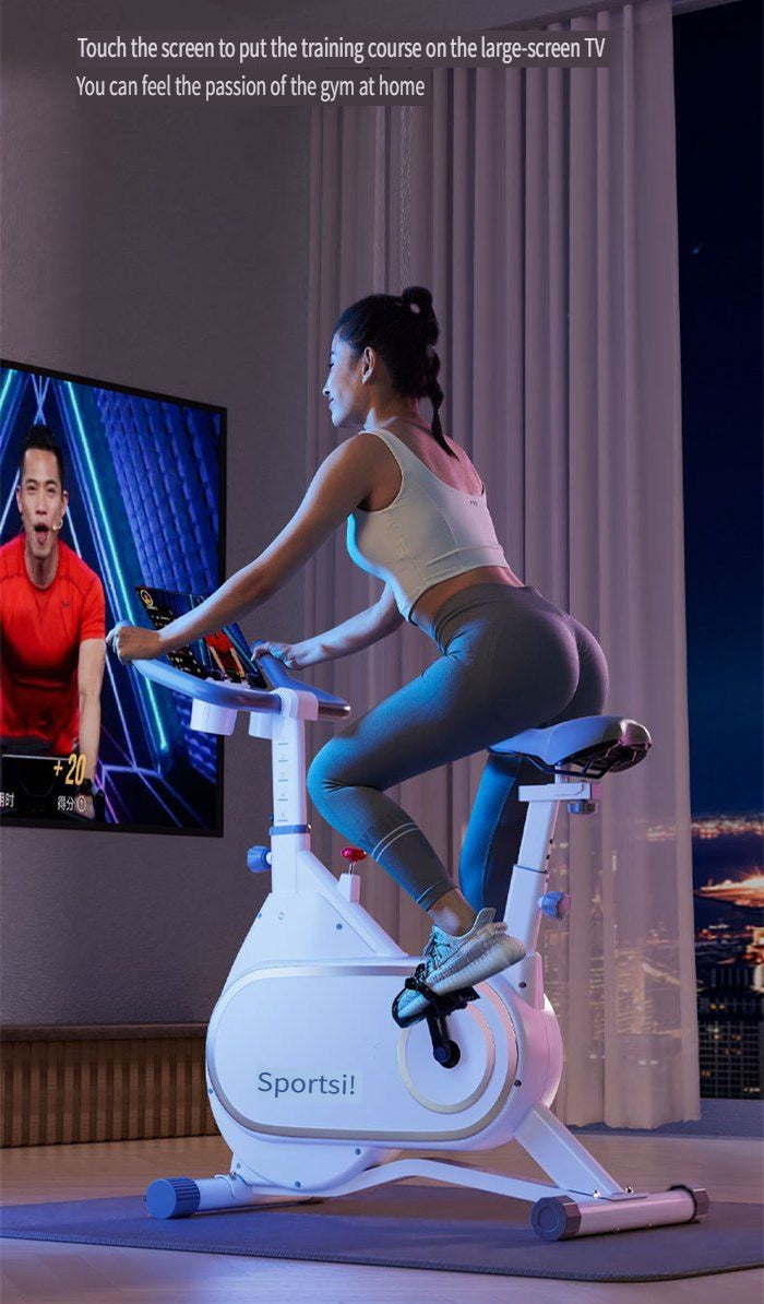 Electromagnetic-controlled indoor exercise bike for home use, quiet indoor fitness bike, fully enclosed flywheel smart magnetic resistance exercise bike.