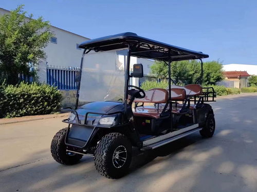 6-Seater Sightseeing Shuttle for Scenic Areas, Parks, and Hotels – Available in Fuel or Electric Golf Cart Models