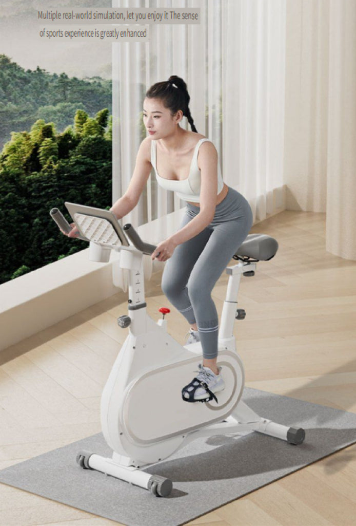 Electromagnetic-controlled indoor exercise bike for home use, quiet indoor fitness bike, fully enclosed flywheel smart magnetic resistance exercise bike.