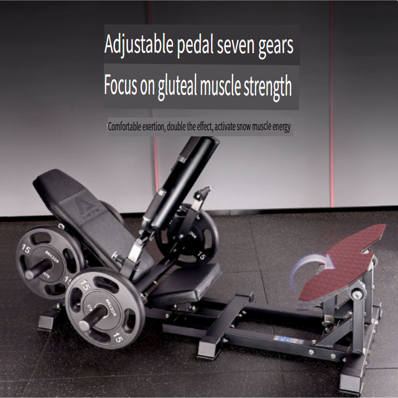 Commercial-grade gym glute bridge machine; professional glute thrust trainer for personal training and home use.