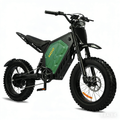 MDD-07B 3000W Electric Dirt Bike, Green